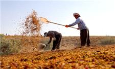 پرداخت 27 میلیارد ریال عیدی به مستمربگیران صندوق بیمه روستایی یزد
