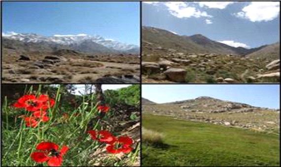 پناهگاه حیات وحش شیرکوه نگینی در قلب کویر یزد