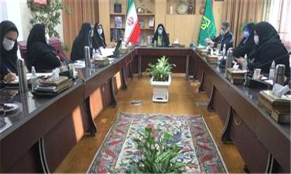 هم پیمانی بین دستگاه ها برای زنان، اقدامی محوری و اصولی بوده است