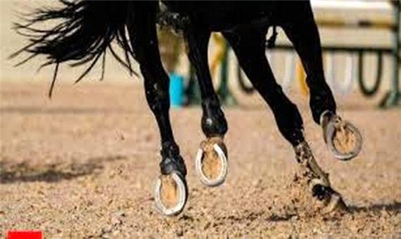 قهرمانی لرستان در مسابقات سوارکاری استقامت کورس یزد