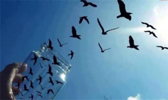 آزادی 30 محکوم مالی طی دو ماهه ابتدایی امسال در دارالعباده