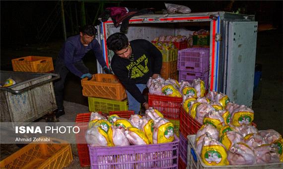 نیروی انتظامی با خروج مرغ مورد نیاز داخل استان برخورد کند