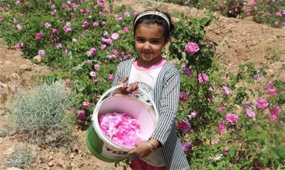خاتم معطر به بوی گل و گلاب