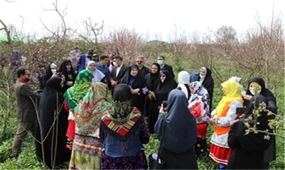 بازدید معاون زنان رییس جمهوری از چند مزرعه تولیدی  زنان روستایی در ساری