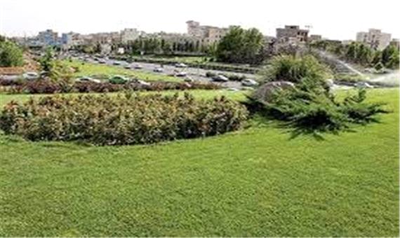 توسعه 4.5 کیلومتر فضای سبز در بزرگراه آیت الله هاشمی رفسنجانی
