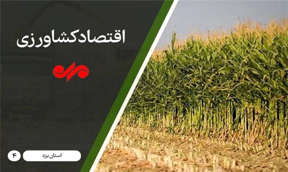 کمبود پایانه صادرات محصولات کشاورزی در یزد