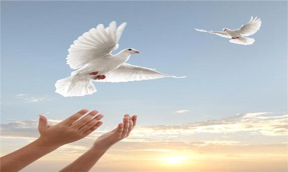 91 محکوم مالی در یزد از زندان آزاد شدند