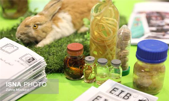 نمایشگاهی به وسعت دستاوردهای فناورانه استان یزد