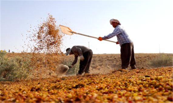 پرداخت 27 میلیارد ریال عیدی به مستمربگیران صندوق بیمه روستایی یزد