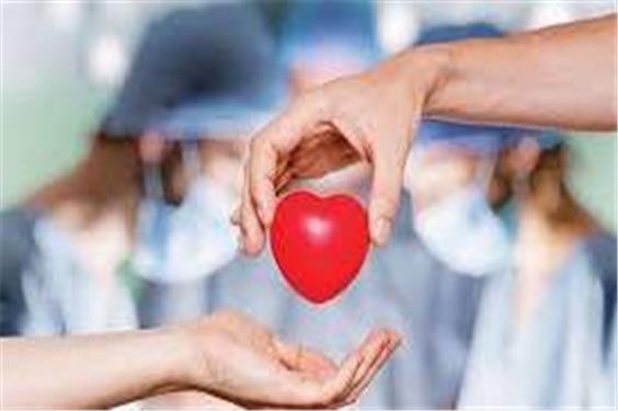 ثبت سیزدهمین اهدای عضو سال جاری در استان یزد