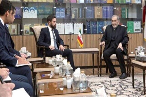 دیدار آقای ولایتی با معاون وزیر خارجه ارمنستان