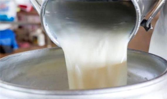 25 هزار تن شیر در شهرستان نیر تولید شد