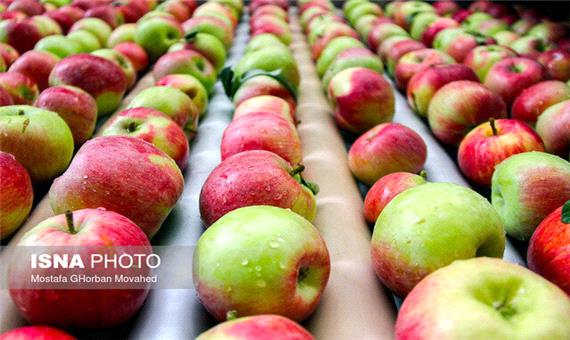 انتقال اولین محموله سیب تنظیم بازار نوروز به یزد