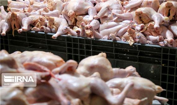 گوشت مرغ مورد نیاز ایام نوروز و ماه رمضان بازار یزد در حال تولید است