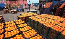 توزیع بیش از 946 تن میوه تنظیم بازار طی قریب یک ماه در یزد