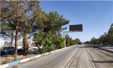ماجرای تصمیم شورای شهر اردکان برای قطع درختان یک خیابان چه بود؟