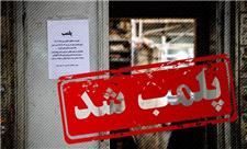 17 نانوایی متخلف در یزد پلمب شد