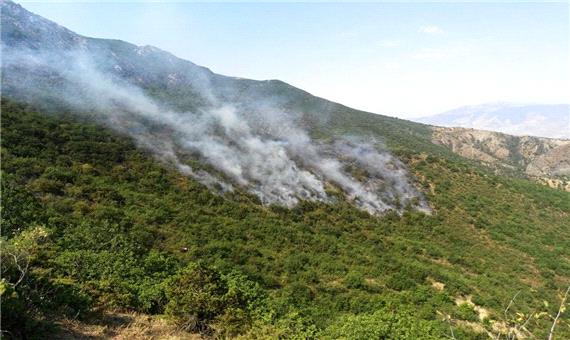 کاهش 91 درصدی آتش‌سوزی در عرصه‌های طبیعی کردستان