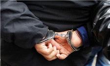 بازداشت شرور با 180 فقره شکایت در یزد