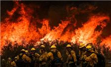 وقوع 2484 مورد آتش‌سوزی و حادثه، نیمه نخست امسال در یزد