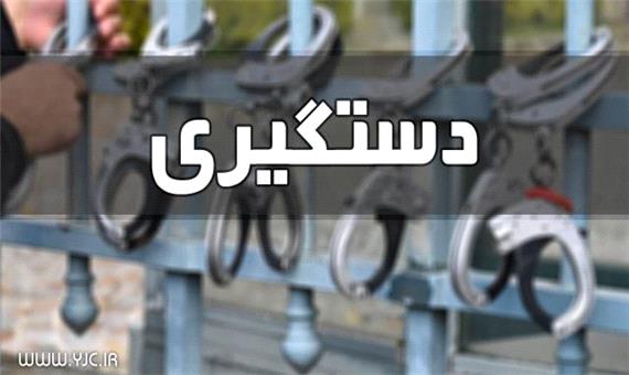 سارقان استان یزد در شهرستان انار دستگیر شدند