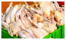 تولید روزانه بالغ بر 150 تن گوشت مرغ در استان یزد