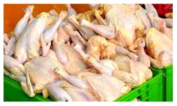 تولید روزانه بالغ بر 150 تن گوشت مرغ در استان یزد