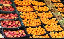 ذخیره سازی پرتقال و سیب تنظیم بازار نوروز ١٤٠٢در یزد