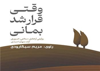 کتاب صوتی؛ وقتی قرار شد بمانی(فصل اول)