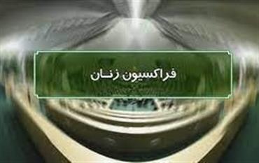بررسی لایحه حمایت از زنان در برابر خشونت در فراکسیون زنان