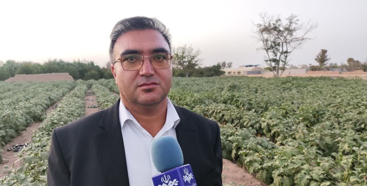 خبر یزد