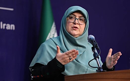 مهاجرانی: مکانیزم ماشه فاقد اعتبار قانونی است