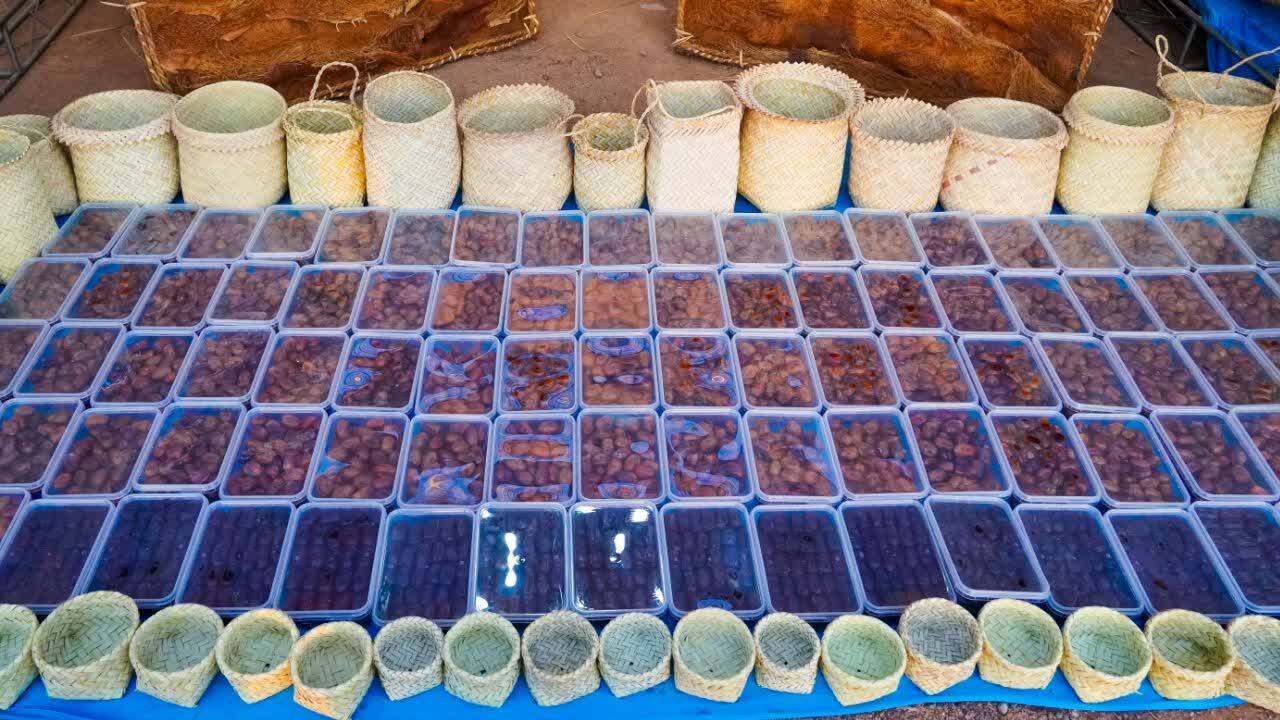 خبر یزد