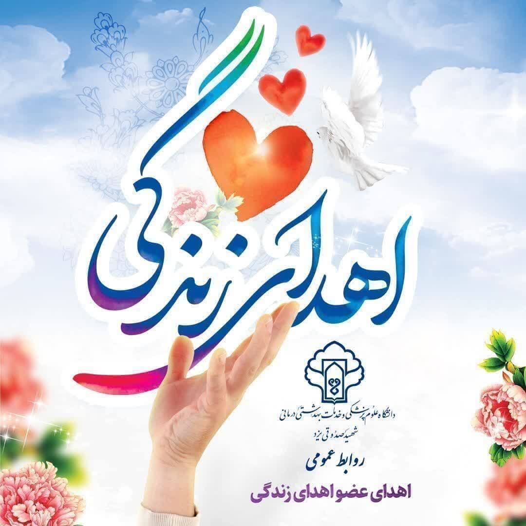 خبر یزد