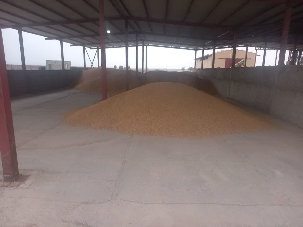 خبر یزد