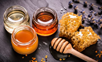 اجرای طرح زنبورستان گردشگری در استان یزد