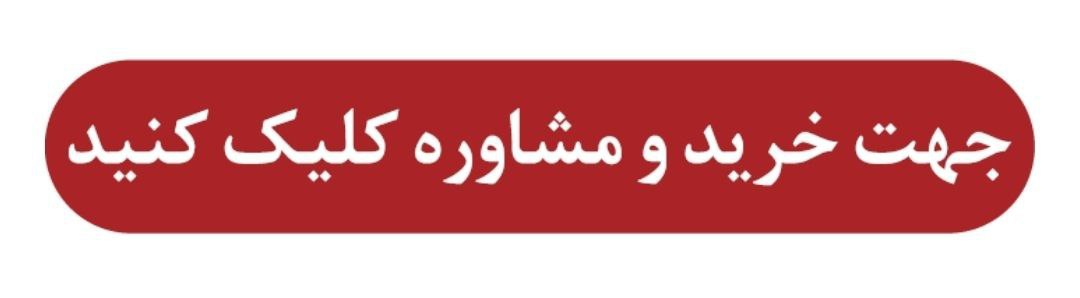 خبر یزد