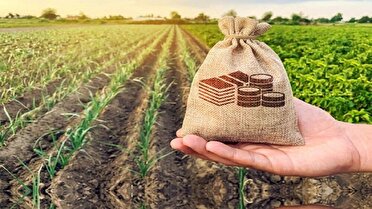 ارائه تسهیلات کم بهره برای توسعه صنایع روستایی استان یزد