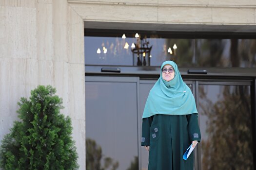 دیپلماسی استانی در دستور کار دولت است