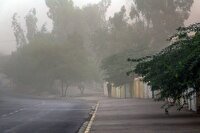 وزش باد عصرگاهی در استان