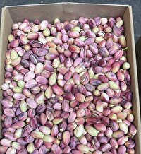 کشف ۵۰۰ کیلو پسته سرقتی در بهاباد