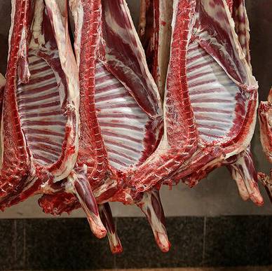 توزیع گوشت تنظیم بازاری از هفته آینده