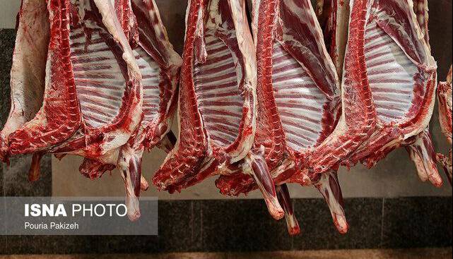 توزیع گوشت وارداتی با قیمت زیر ۷۰۰ هزار تومان از هفته آینده