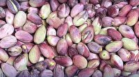 کشف ۸۱۰ کیلو پسته سرقتی در مهریز