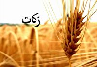 ساماندهی فعالان جمع آوری زکات در کشور