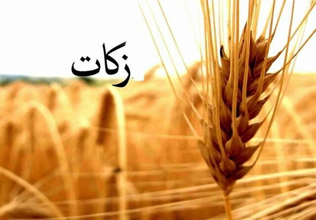 خبر یزد