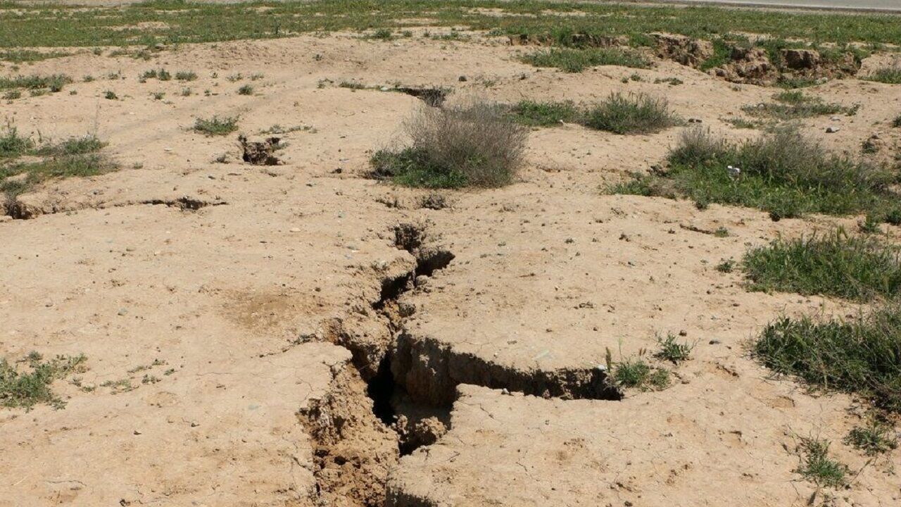 خبر یزد