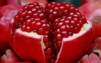 برپایی جشنواره انار در شاهدیه