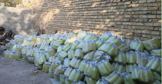 خبر یزد