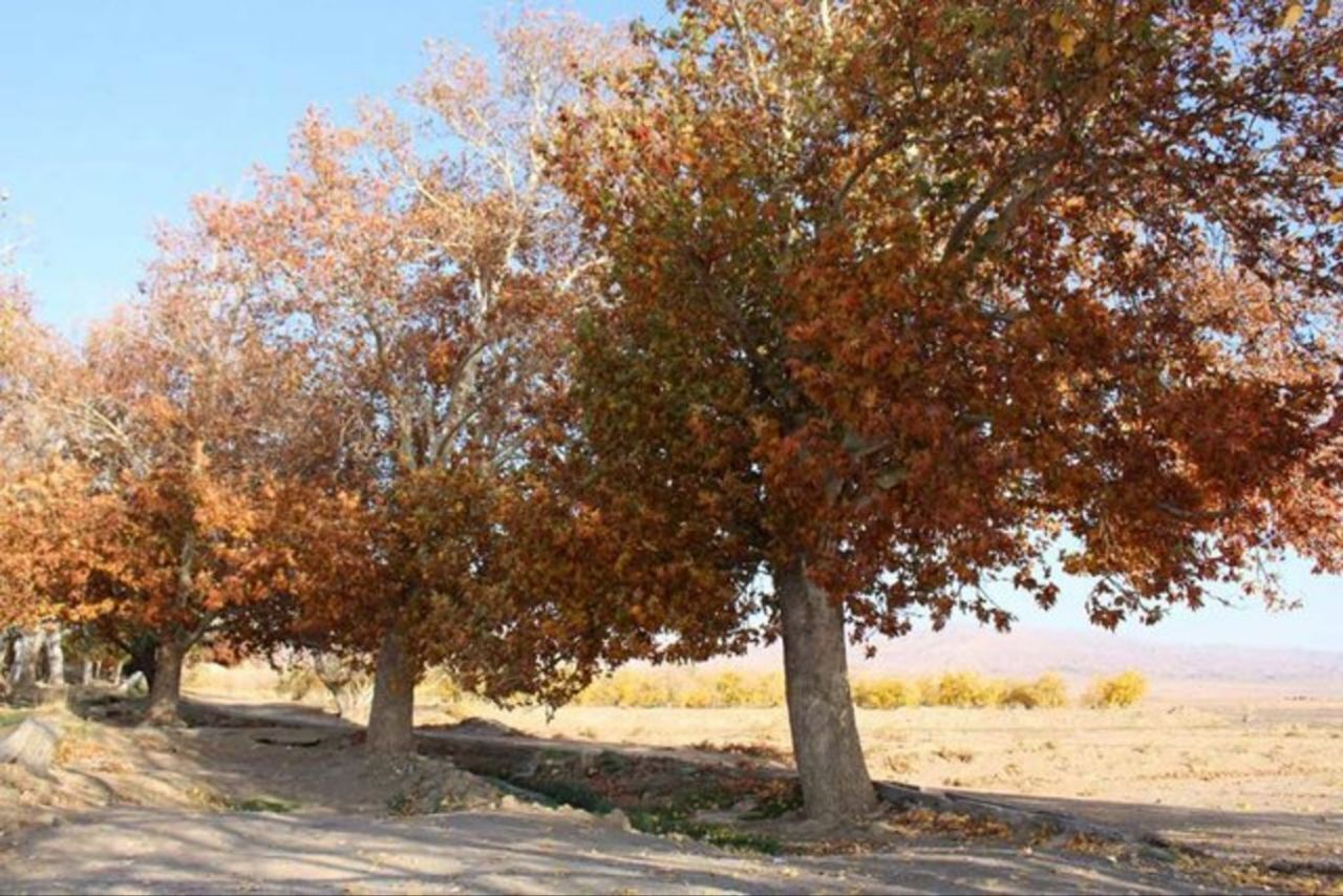 پاییز خشک‌تر از تابستان؛ بارش‌ها در تهران به کمتر از یک میلی‌متر رسید